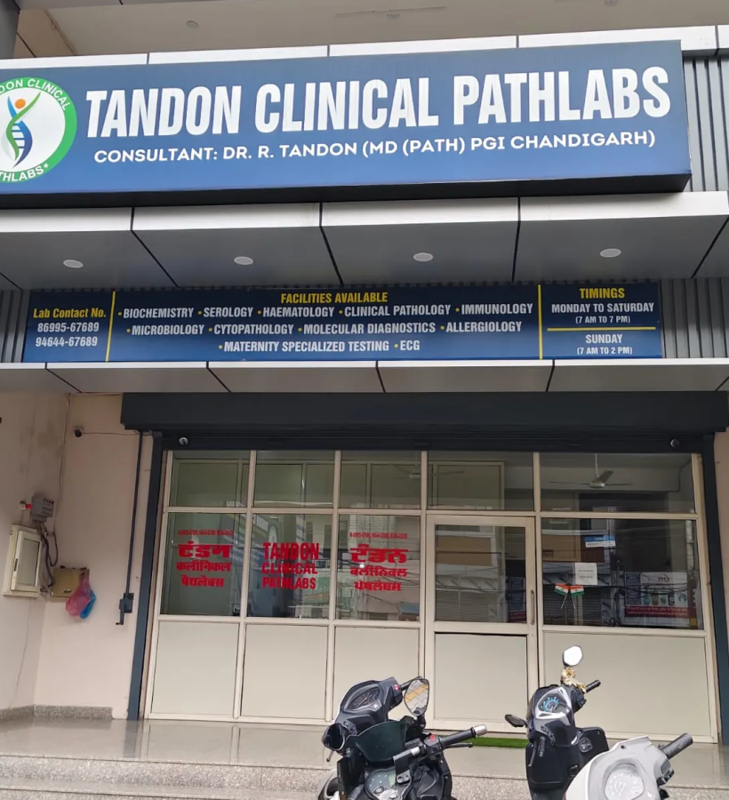 download - 2025-09-05T113408.223